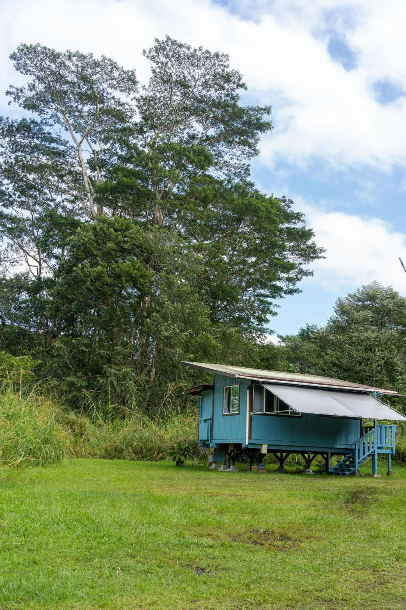 Hawaiian Sanctuary Eco Retreat Center Villa Pahoa Phòng bức ảnh