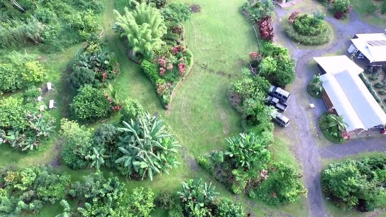Hawaiian Sanctuary Eco Retreat Center Villa Pahoa Ngoại thất bức ảnh