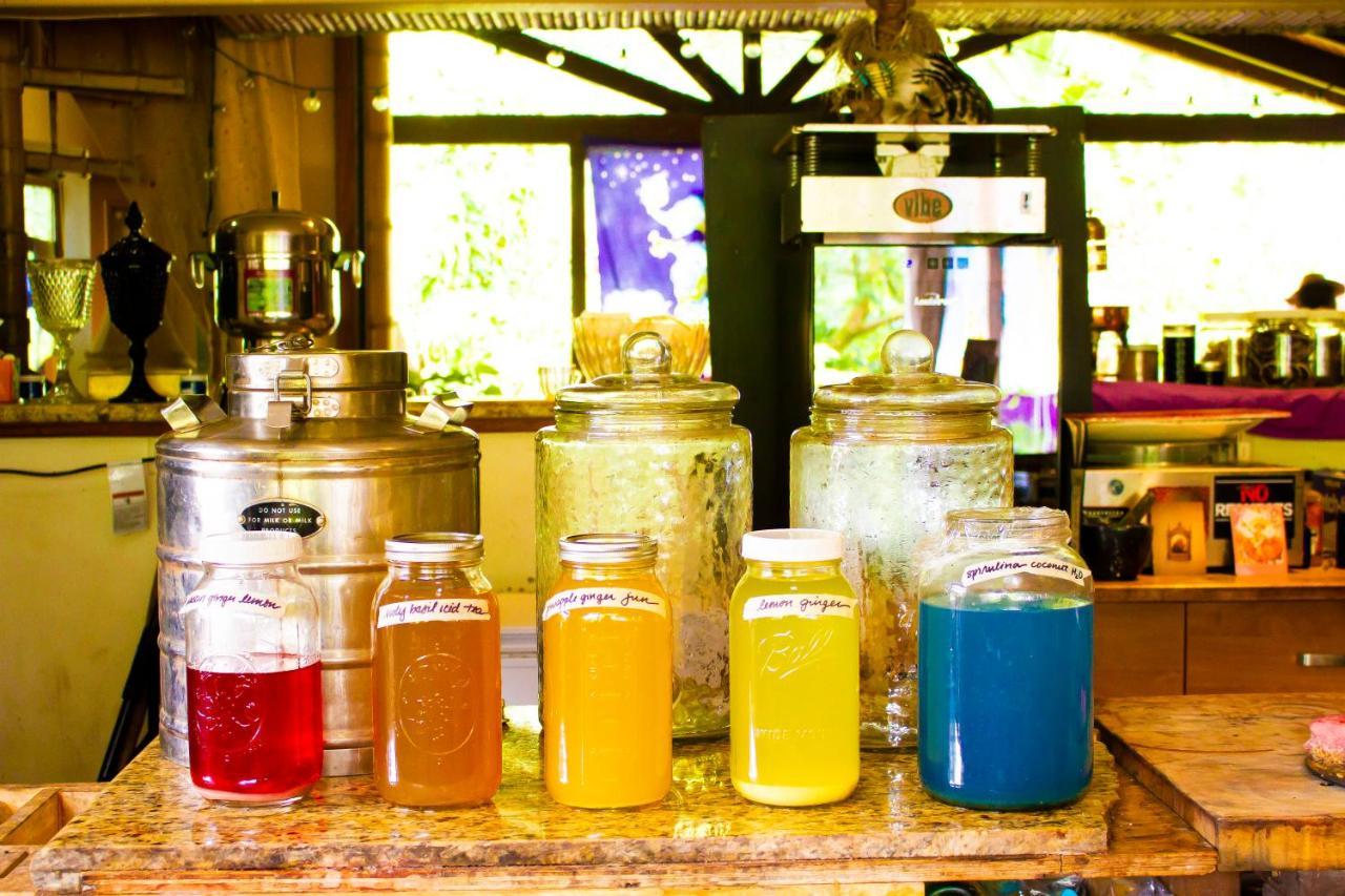 Hawaiian Sanctuary Eco Retreat Center Villa Pahoa Ngoại thất bức ảnh