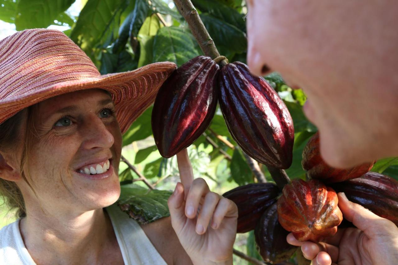 Hawaiian Sanctuary Eco Retreat Center Villa Pahoa Ngoại thất bức ảnh